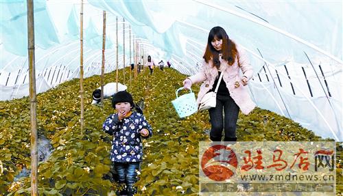 yinyy1501121.jpg