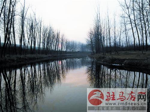yuanm15022.jpg