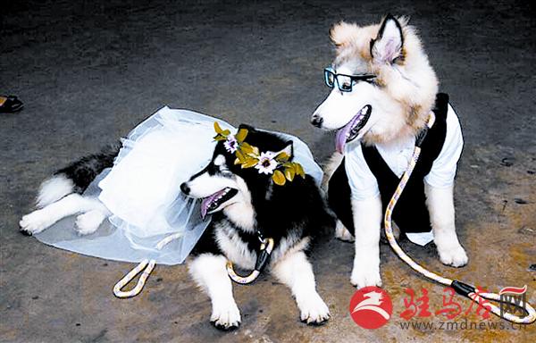 yuanm150210.jpg