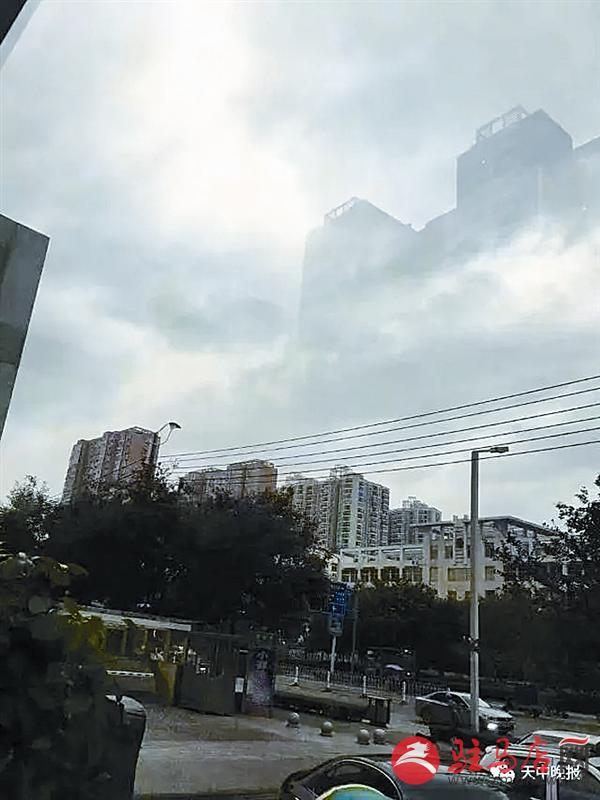 yinyy17078.jpg