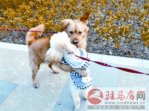 jiaoyp140641.jpg