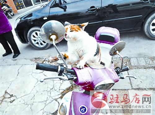 jiaoyp140652.jpg