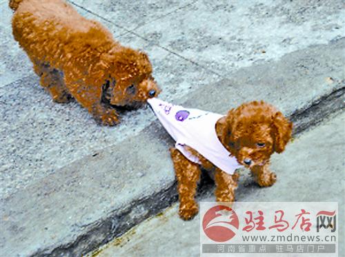 jiaoyp140631.jpg