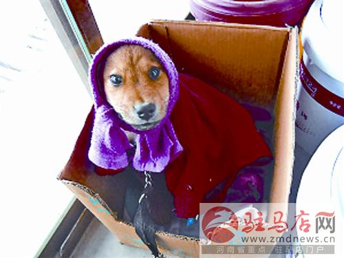 jiaoyp14066.jpg