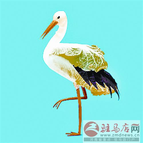 jiaoyp141057.jpg