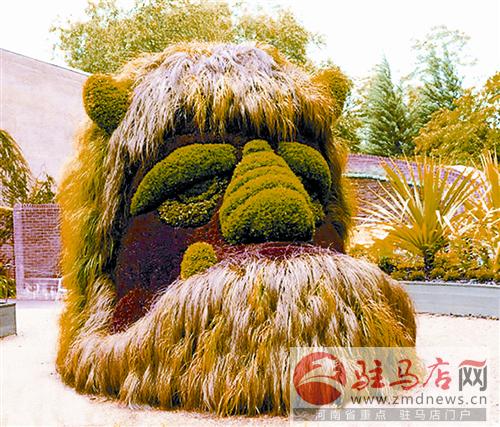 jiaoyp14107.jpg