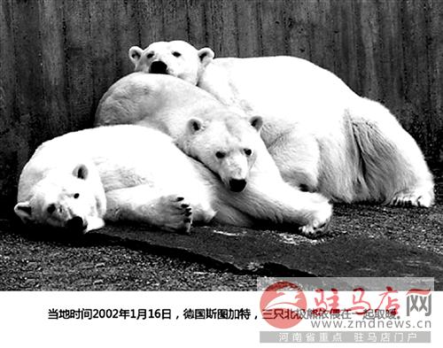 jiaoyp141276.jpg