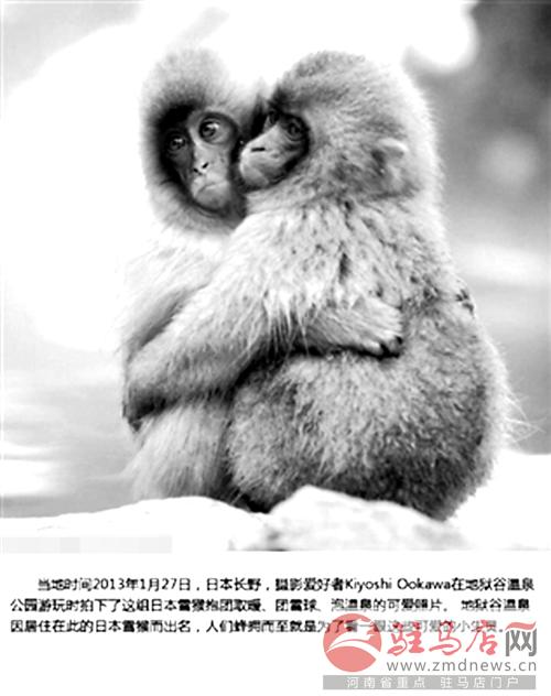 jiaoyp141274.jpg