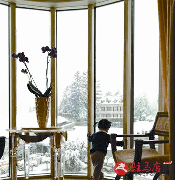 yangf1610122.jpg