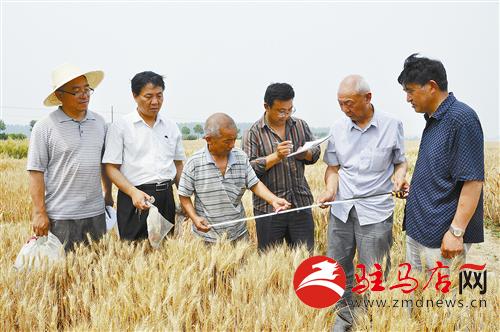 guols14060.jpg