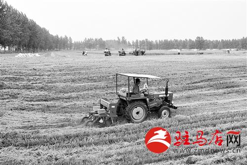 guols1406193.jpg