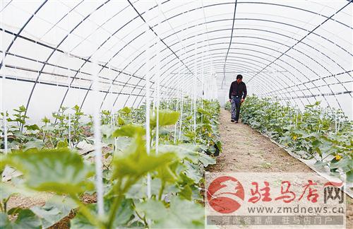 zhangz141120.jpg