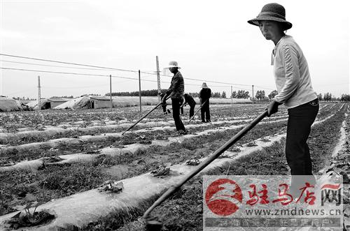 guols1406384.jpg