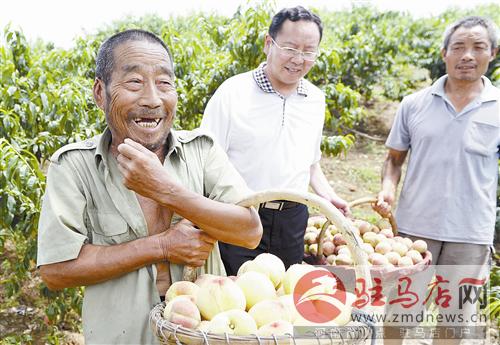 guols1406387.jpg