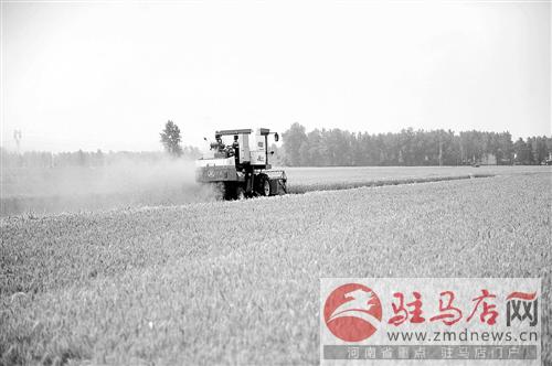 guols140627.jpg