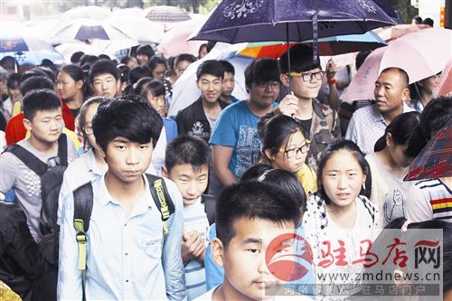 guols1406537.jpg