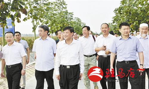 guols1409709.jpg