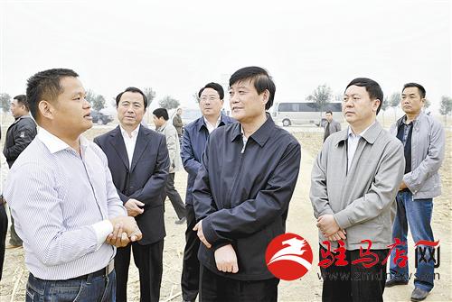 guols1410262.jpg