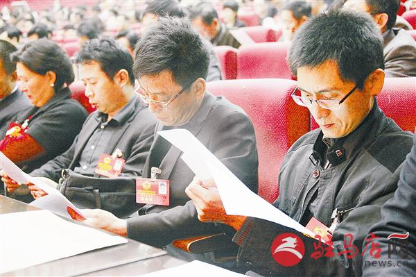 zhangz1504365.jpg