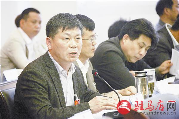 zhangz1504359.jpg