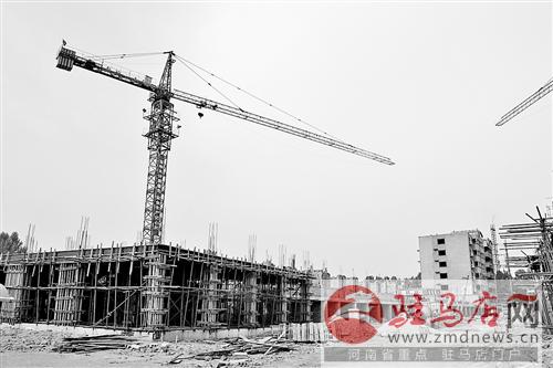 258066_زݱ.jpg