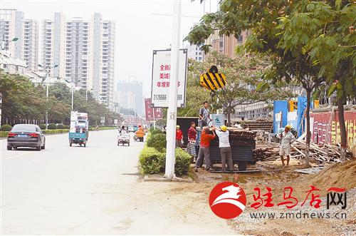 guols140738.jpg