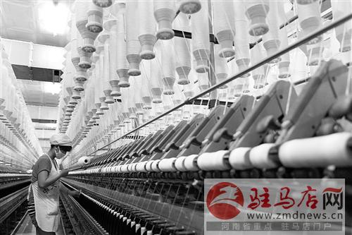 zhangz141176.jpg