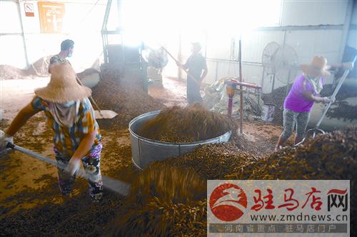 luf1409342.jpg
