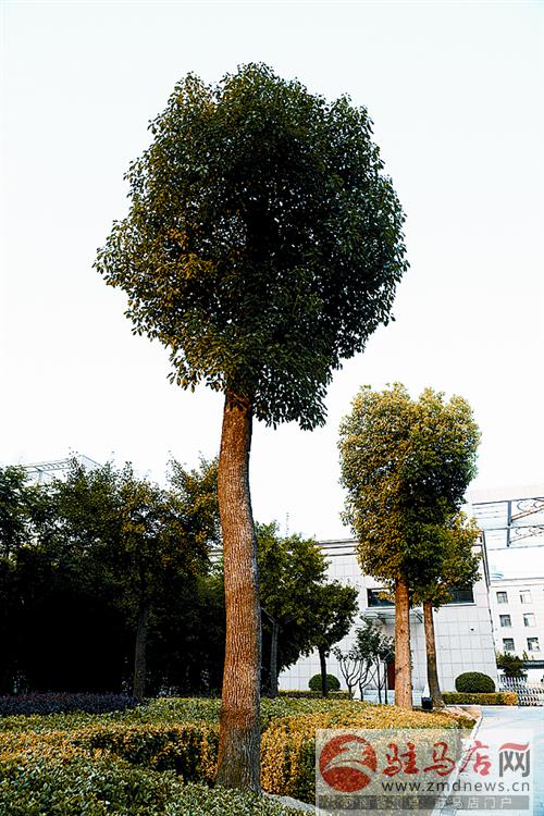 luf140845.jpg