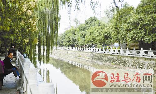 guols1409526.jpg