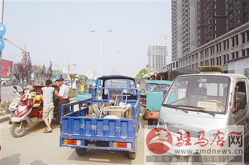 guols1407554.jpg