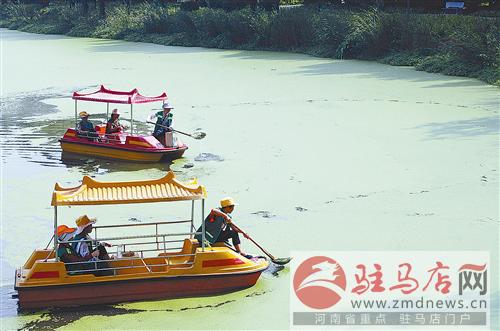 guols1407553.jpg