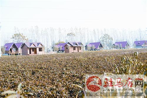 luf1411296.jpg