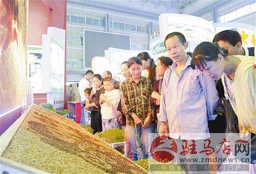 guols1409351.jpg
