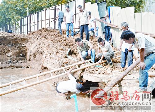 luf1407300.jpg
