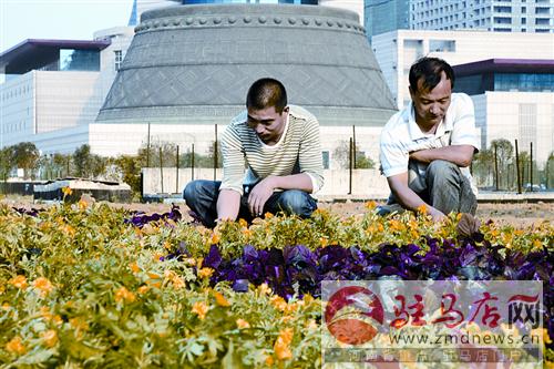 luf140976.jpg