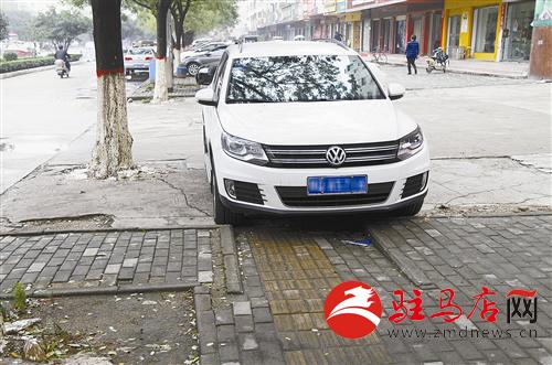 guols1410487.jpg