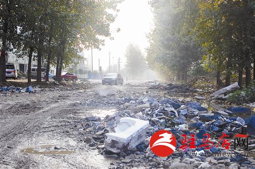 guols1410488.jpg