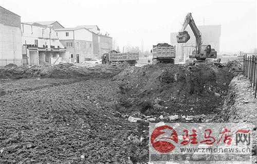 zhangz1412161.jpg