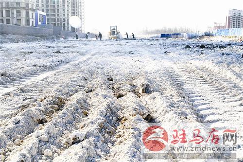 guols1412167.jpg