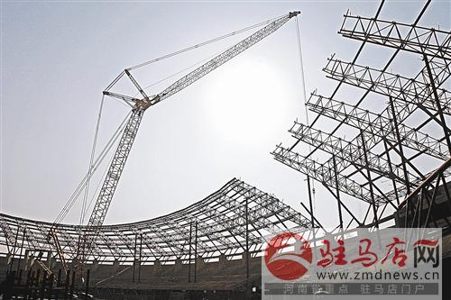 zhangz1412373.jpg