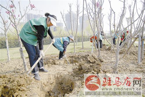 zhangz1412389.jpg