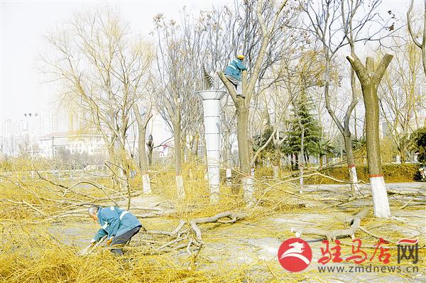 guols1501191.jpg