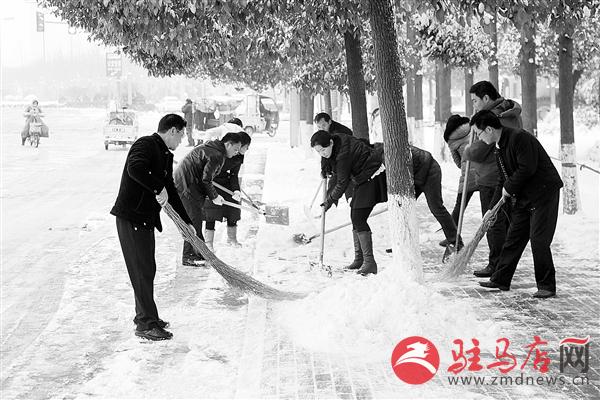 zhangz1501146.jpg