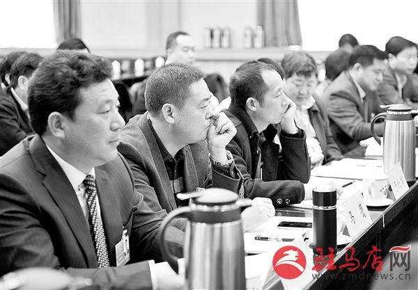 zhangz1501176.jpg