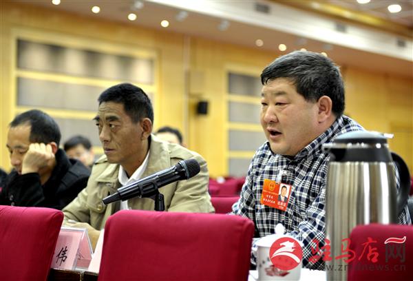 284898__DSC1174.jpg