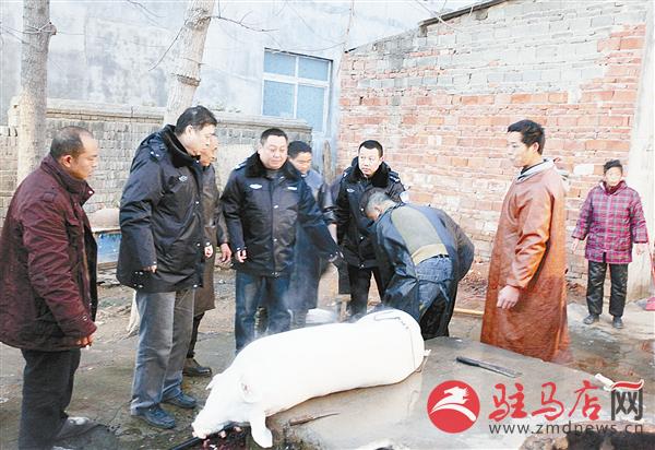 guols150293.jpg