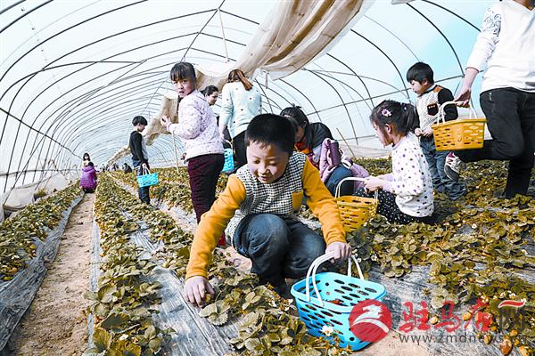 zhaol150312.jpg