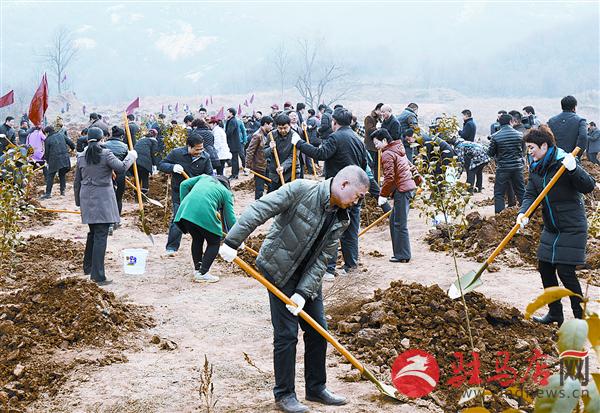 luf1503185.jpg