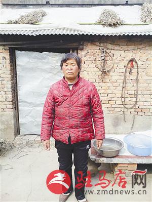 zhangz1505164.jpg